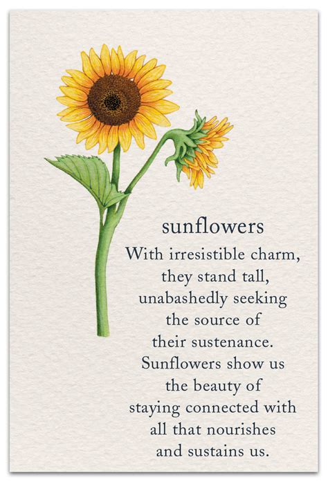 Pin by Diana Busey on Greeting Cards | Sunflower quotes, Flower quotes ...