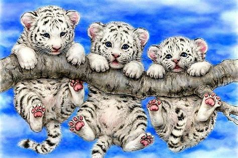 Three Cute Cubs, Paws, Tiger, Cute, White, Tree, Cubs, Three, HD ...