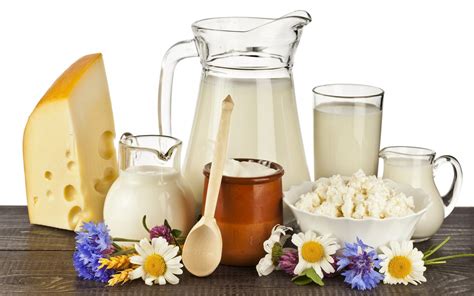 Seven ways your health will benefit by giving up dairy products ...