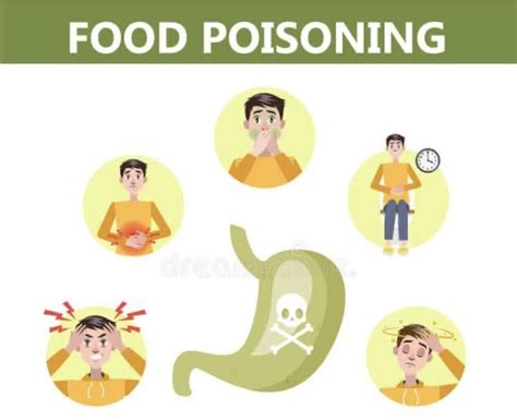 Food Poisoning: Unveiling the Causes, Symptoms, and Prevention Measures