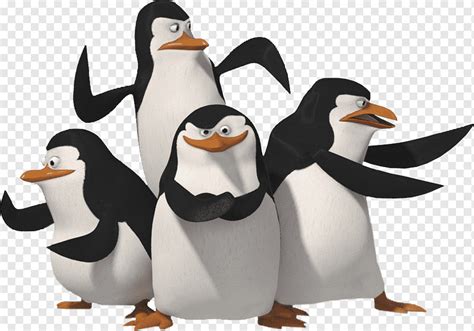 Skipper Penguin Madagascar DreamWorks Animation, Madagascar penguins ...