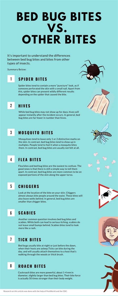 Bed Bug Bites Vs. Other Bites | Fleas, Hives, Chiggers [9+ Examples]