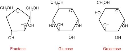 SparkNotes: Carbohydrates: Types of Carbohydrates