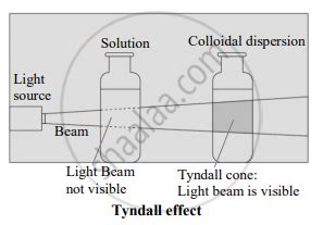 Draw labelled diagram Tyndall effect. - Chemistry | Shaalaa.com