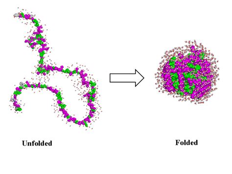 Protein folding: from primary to tertiary structure [12]. | Download ...