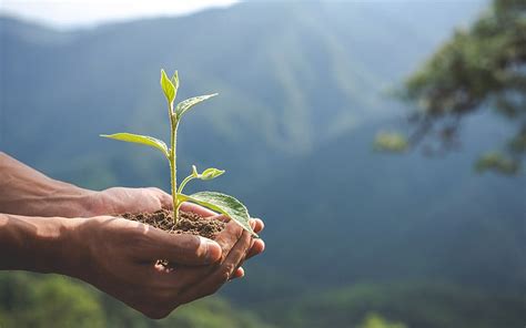 Maybank to invest RM1.6mil in ESG research | FMT