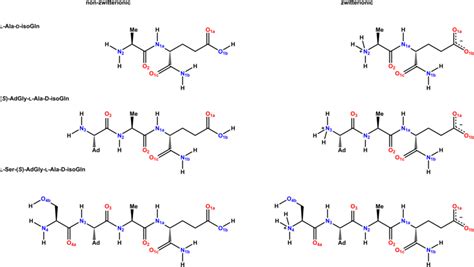 Dipeptide Molecule Sketch