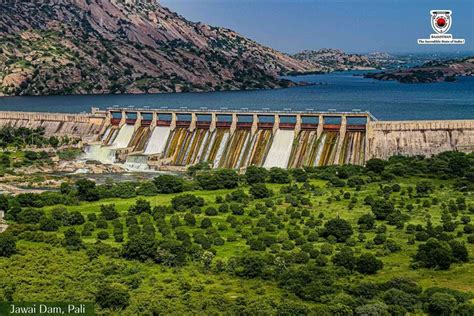 95+ most beautiful images in Jawai Dam, Rajasthan, India