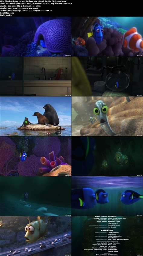 Finding dory free full movie download hd - copaxhall