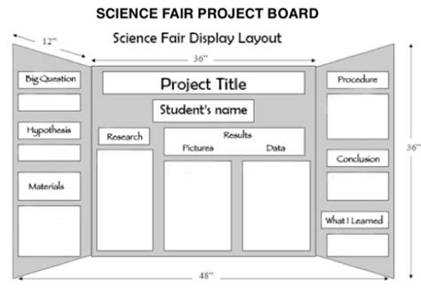 Science Fair Rubric and Board Layout | Mr. Bailey's Science Classroom