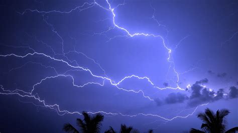 Lightning Storm Palm Sky 4K HD Wallpapers | HD Wallpapers | ID #31247