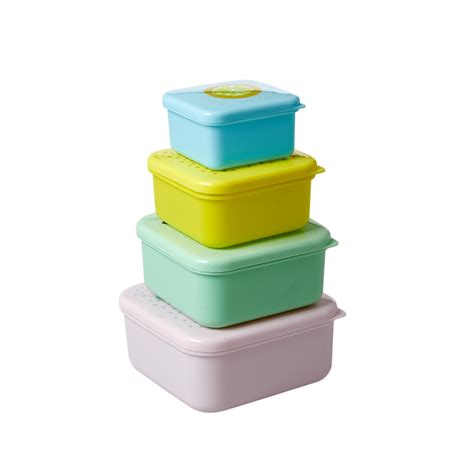 Set of 4 Small Food Boxes Fruit Printed Lids Rice DK - Vibrant Home