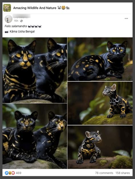 These Viral Claims of Rare Cat Species Are AI-Generated Images! - Fact ...