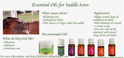 The Aspiring Equestrian: Natural Treatment for Saddle Sores