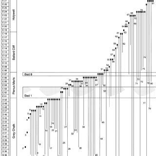 Plots of surface area available for macrofossil collection ...