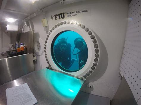 What it's like inside the only permanent undersea research lab in the ...