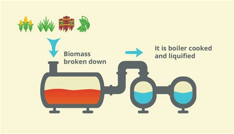 What are Biofuels? | Biofuels