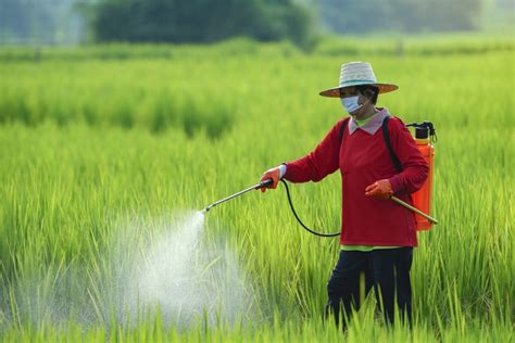 7 Agricultural Uses of Water in Farms - Powered by Orange