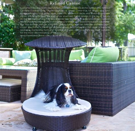 17 Best images about Outdoor Dog Furniture on Pinterest | Dog beds, My ...