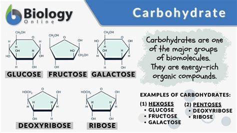 Carbohydrate Definition and Examples - Biology Online Dictionary