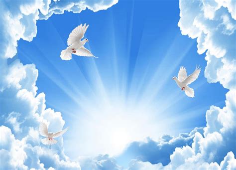 Three White Doves Flying in the Sky