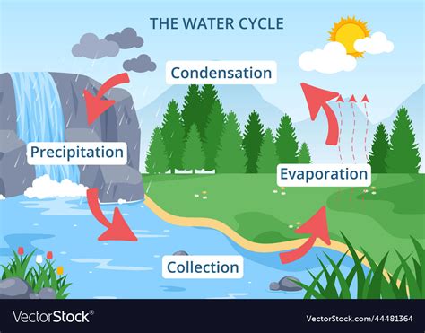 Water cycle of evaporation condensation Royalty Free Vector