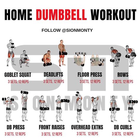 How To Build Muscle With Dumbbells At Home - Grizzbye