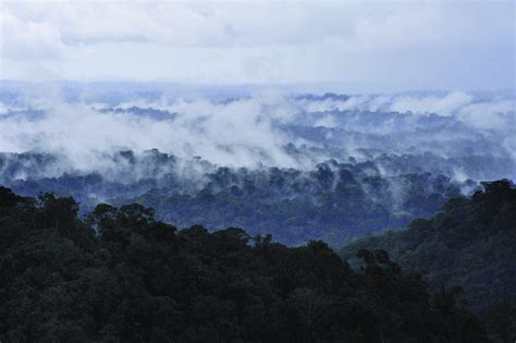 The Cultural Landscape of French Guiana | LAC Geo