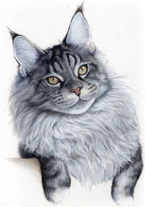 Grey cat on white (2016) Pastel drawing by Tatjana Bril | Grey cats ...