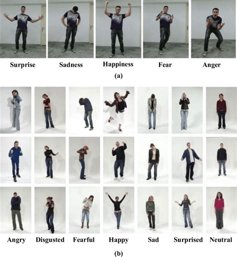 Body gestures of different emotions. (a) The MASR dataset which ...