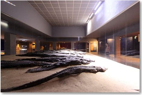 Egitalloyd Travel Egypt: News: Kom Ombo Crocodile Museum Damaged Due to ...