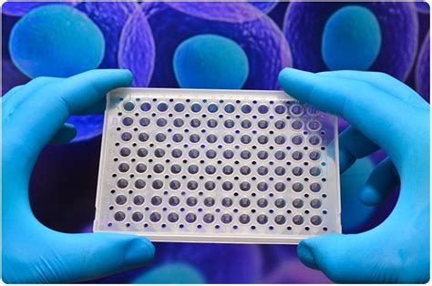 Protein Microarray Applications