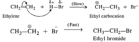 All About Typical Electrophilic Additions