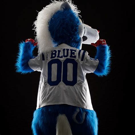 Colts Mascot Blue Biography | Indianapolis Colts - colts.com