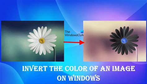 How to invert the color of an image on Windows PC