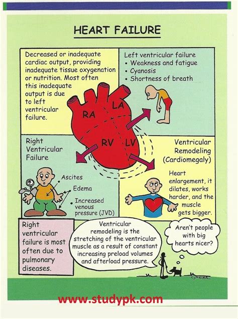 Nursing Left Sided Heart Failure - StudyPK