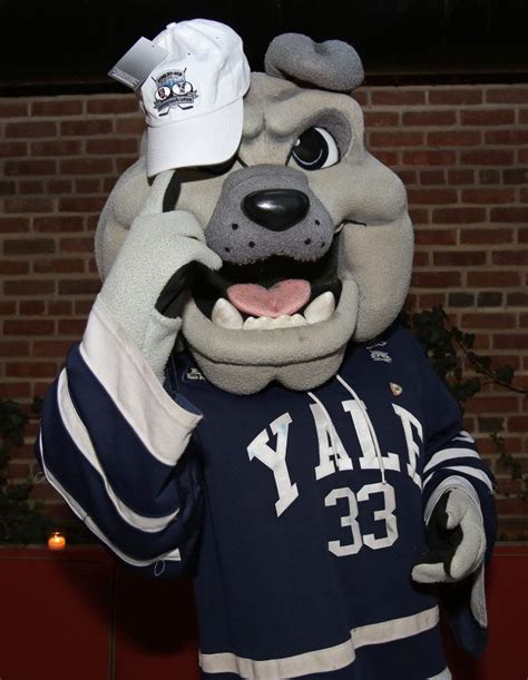 Yale University - Courses, Mascot & Notable Alumni