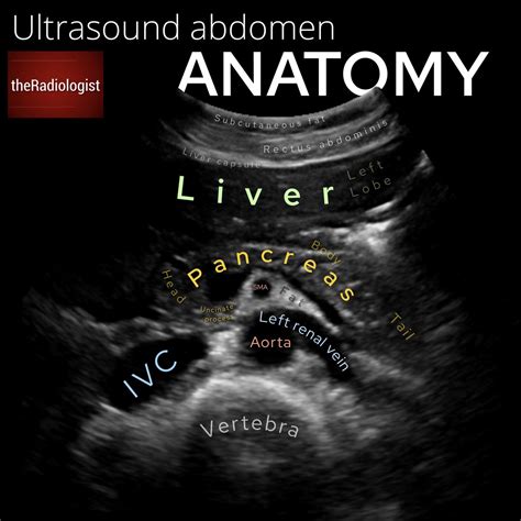 theRadiologist on Twitter: "ULTRASOUND ABDOMEN Upper abdominal ...