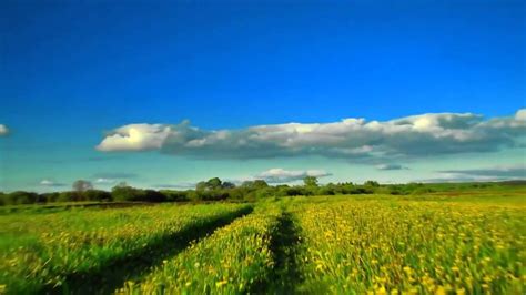 Belarus Nature - YouTube