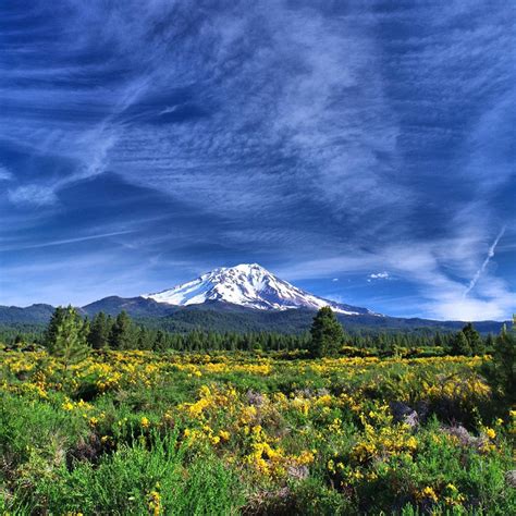 Beautiful Mt. Shasta | The Ultimate Family Vacation