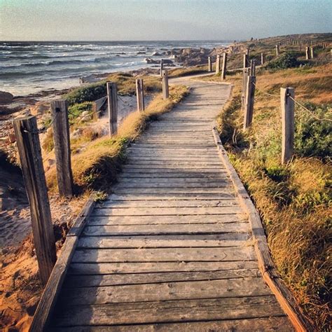 Spanish Bay - Beach in Pebble Beach