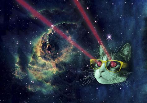 List of Synonyms and Antonyms of the Word: laser cat