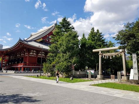 Asakusa Shrine | Tokyo Cheapo