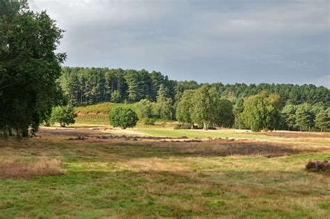 Hollinwell Home of Notts Golf Club (Kirkby in Ashfield, Nottingham ...