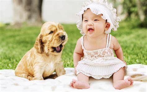 Kids and Dogs: Be Smart, Play Safe – Union Lake Pet Services