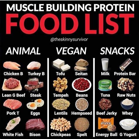 7 Sources of Protein That Will Help Muscle Gain And Health - GymGuider ...