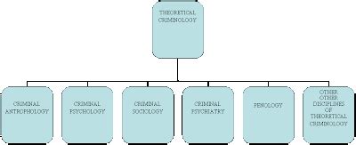 Theoretical criminology: Biological theories of crime causation in ...