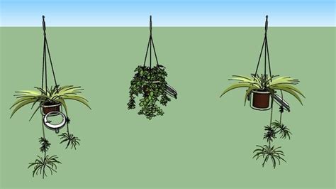 Hanging plant pots - 3D Warehouse | Hanging plants, Indoor plant wall ...