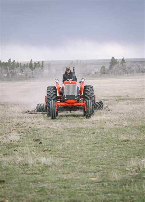 How to Create and Maintain Pasture Land • The Prairie Homestead