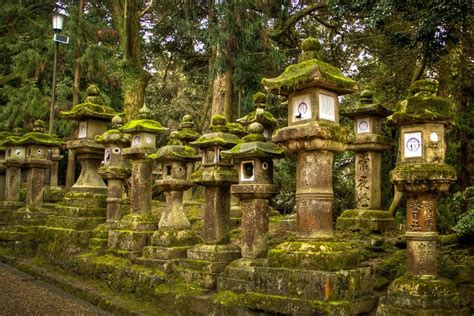 Amazing Nara: Temples, Shrines and Deers